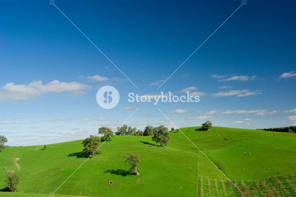 Beautiful Landscape in the Adelaide Hills Royalty-Free Stock Photo SBI ...