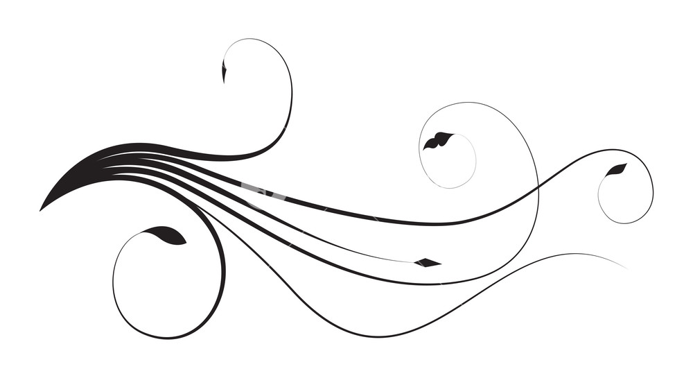 Curlicued Swirl Flourish Design Royalty-Free Stock Vector SBI-300384379 - Storyblocks