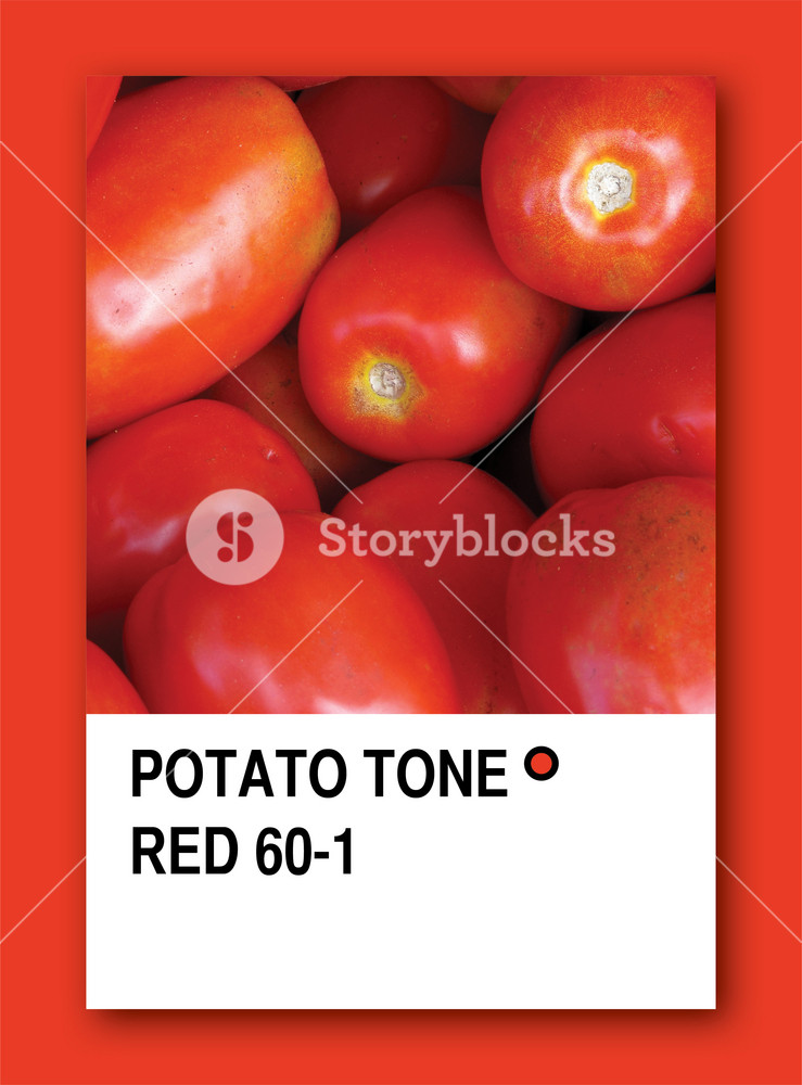 Tomato Tone Red. Color Sample Design Royalty-Free Stock Illustration ...