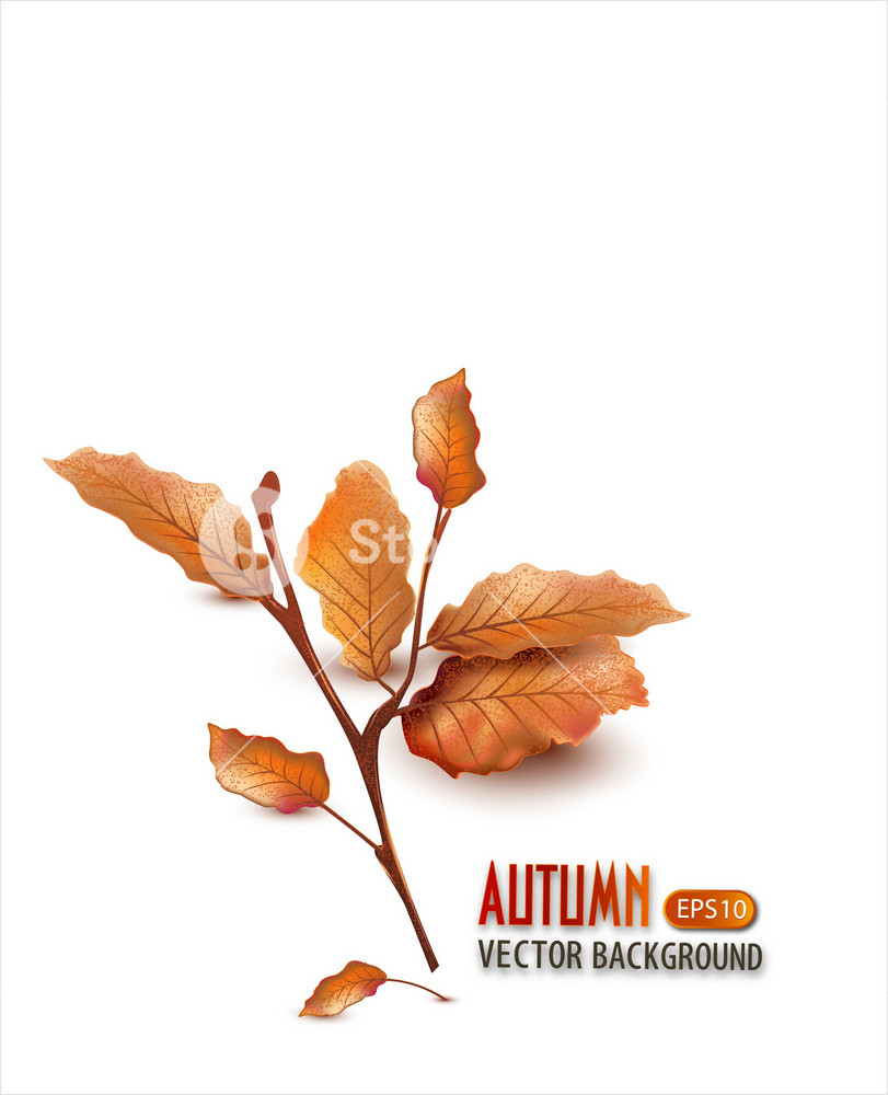 Vector Autumn Background With Leaves Royalty-Free Stock Vector SBI ...