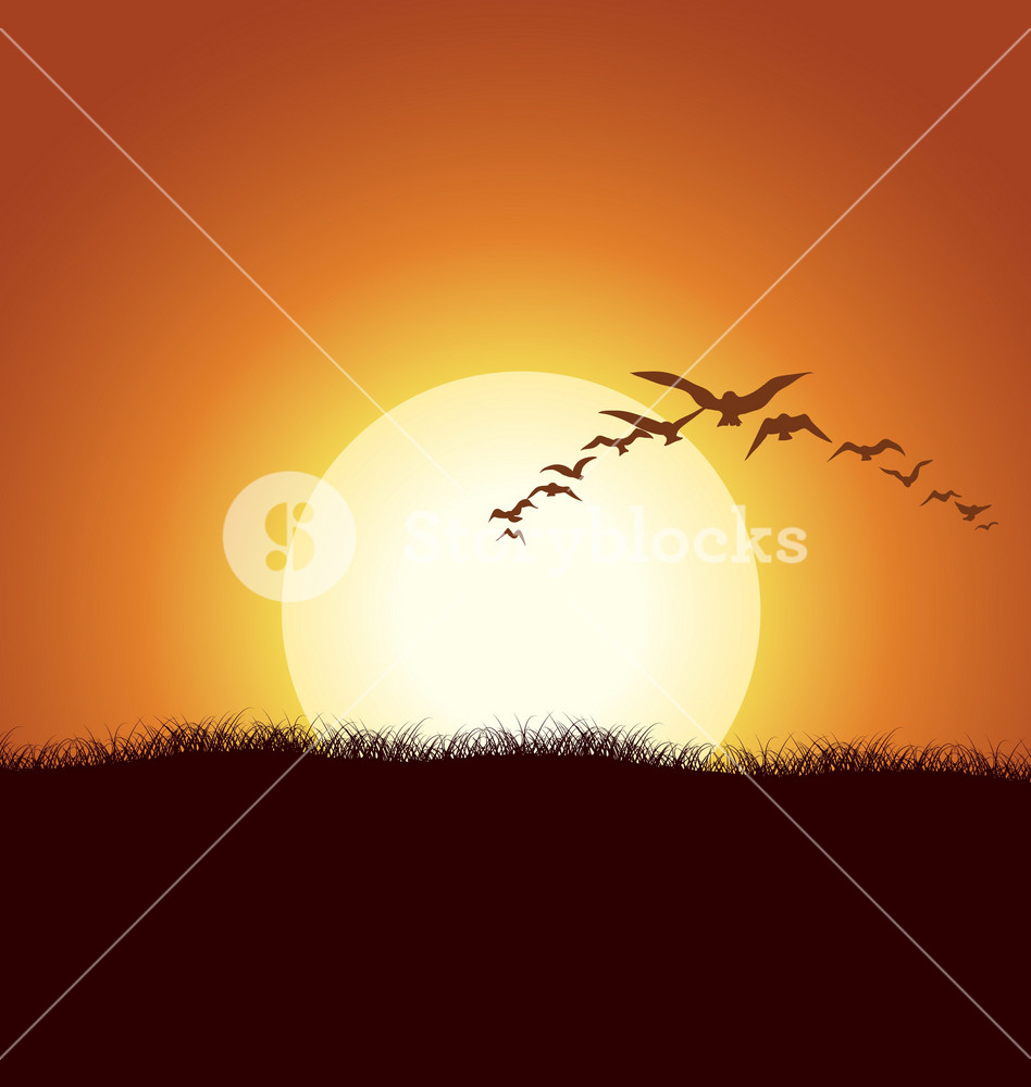 Vector Flock Of Birds With Summer Background Royalty-Free Stock Vector ...