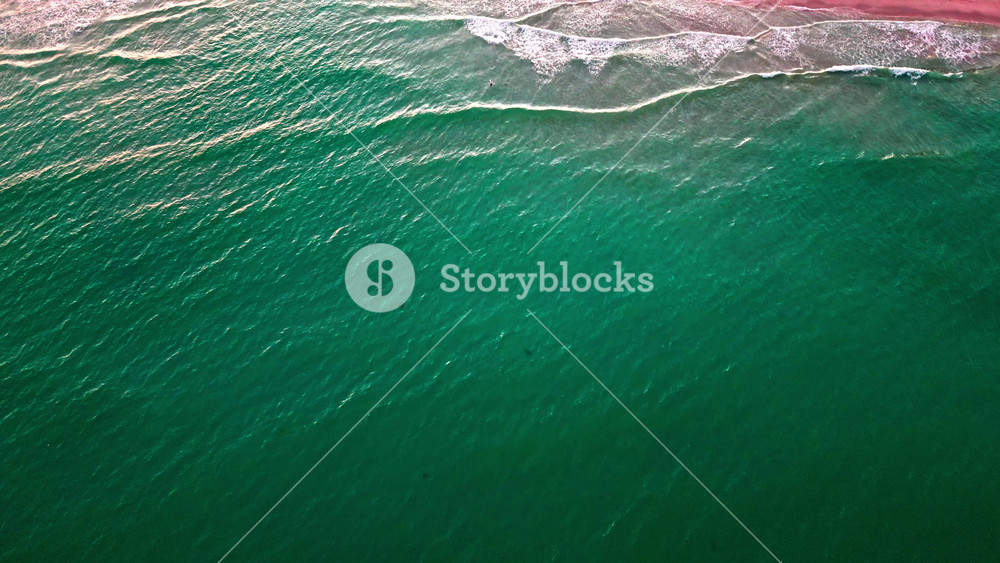 Summer vacation in paradise. Beach vacation at sea in summer. Sea beach relax under the sun. Travel to sea. Aerial top view of beach with