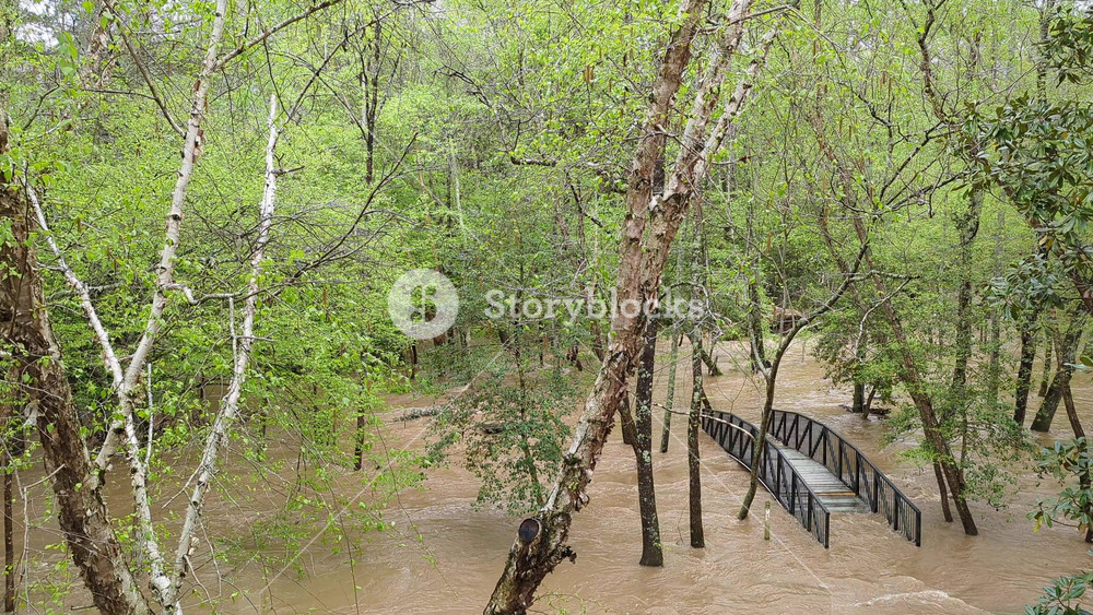 Flooding After Heavy Rains. River Overflow and Park Flooding. Disaster Flood Deluge and Water Flow After Rainfall. Weather Cataclysm. Raging River With Dirty Water. Natural Disasters, Extreme Weather.