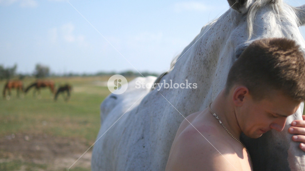 Young handsome man embracing and stroking white horse outdoors. Guy hugging a horse in the field, he caresses and petting the stallion. Love to the animals. Close-up.