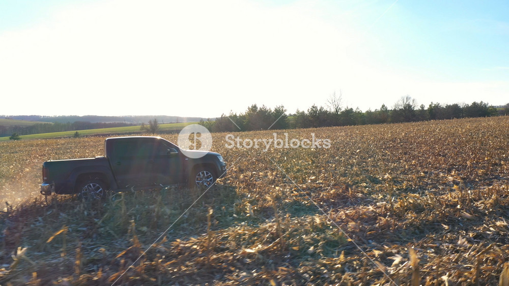 Flying over car moving among farmland on daytime. Pickup truck driving through field after harvesting. Off road vehicle riding along meadow at sunny day. Concept of agronomy farming. Aerial shot