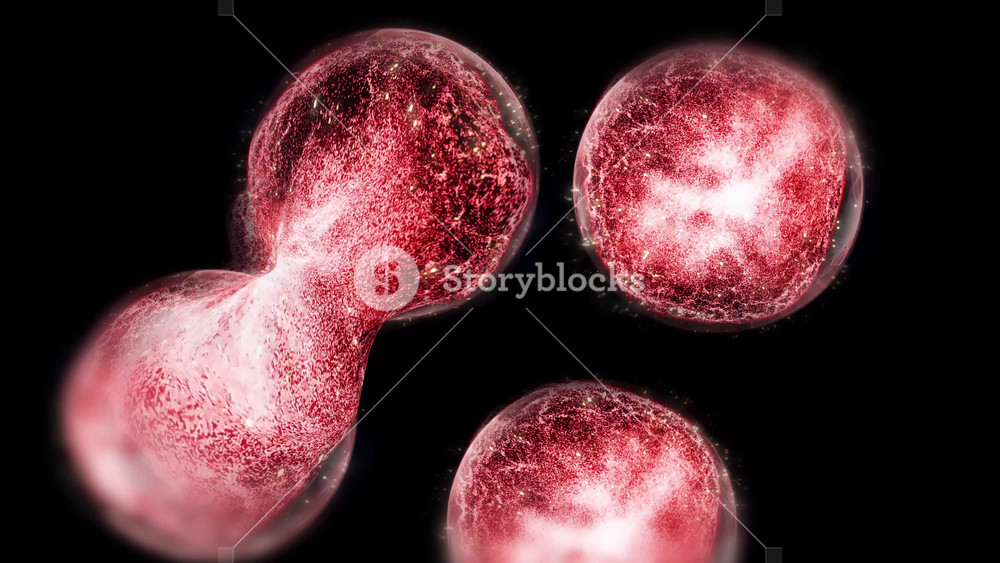 Cells of a living organism divide, clearly demonstrating the process of uncontrollable growth and reproduction of cells and bacteria.S Division In Space