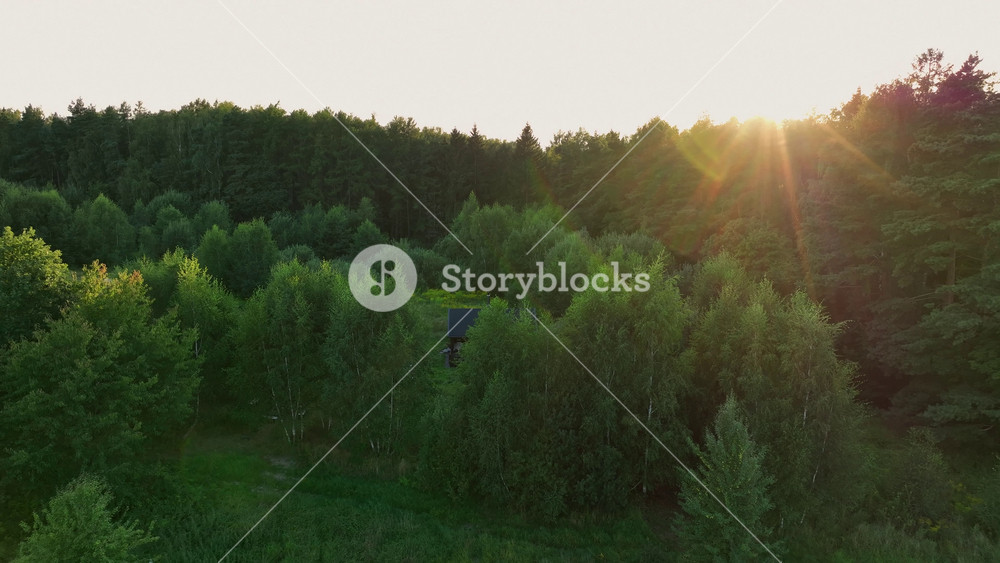 Aerial view shows a dark roof cabin and red roof house as the camera drifts and descends, sun rays backlight tall trees, lens flare warms late summer woodland mood